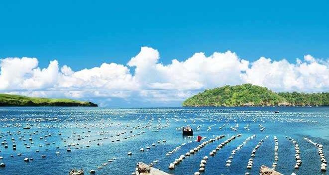 百洋水產產業(yè)投資集團面經：怎么樣看待離職又回歸？
