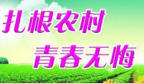 大學(xué)生村官選調(diào)生是公務(wù)員嗎？村官選調(diào)生和選調(diào)生什么區(qū)別？有編制嗎？