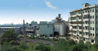 桂林力源集團董事長陳身陸還是丁身援？桂林力源糧油食品集團領(lǐng)導班子