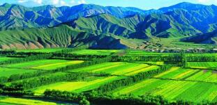 廣西農(nóng)村投資集團待遇怎么樣？廣西農(nóng)業(yè)信貸擔保公司工資多少？中層如何？