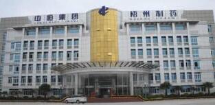 中恒集團董事長焦明簡歷，歐陽靜波簡歷，中恒集團是國企嗎