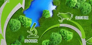 雛鷹集團侯建芳簡歷，侯閣亭、李花、侯五群、吳易得、丁美蘭等領導班子