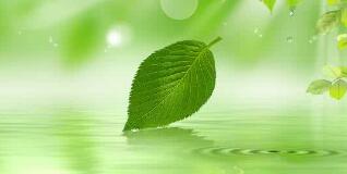 南寧八菱科技怎么樣？待遇怎樣，為什么被譴責？年產(chǎn)多少錢？