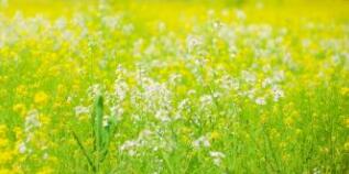 江西華電破產(chǎn)重整了嗎？胡達(dá)、董正文、徐明勇是華電集團(tuán)江西分公司領(lǐng)導(dǎo)嗎？