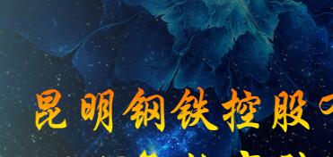 昆鋼集團(tuán)王素琳簡(jiǎn)歷，馬德、陳清泉、王存璘、蘇玲翠、王云萍、錢永祥、孫小躍、官德海、高冰、杜陸軍、趙永平領(lǐng)導(dǎo)班子